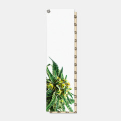 Шкурка для скейтборда dipGrip White Grass